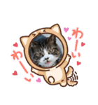 たぬきなたつきくん（個別スタンプ：12）