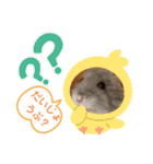 おハムのジョージの日常 Part2（個別スタンプ：4）