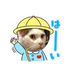 てんちょと仲間達（個別スタンプ：1）