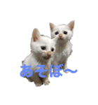 てんちょと仲間達（個別スタンプ：2）