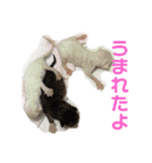 てんちょと仲間達（個別スタンプ：3）