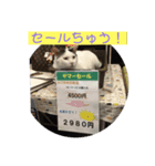 てんちょと仲間達（個別スタンプ：5）