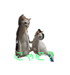 てんちょと仲間達（個別スタンプ：7）