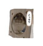 たれみみうさぎのももまる（個別スタンプ：20）
