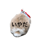 たれみみうさぎのももまる（個別スタンプ：21）