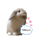 たれみみうさぎのももまる（個別スタンプ：23）