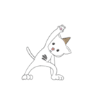 ヨガ猫 サンブル（個別スタンプ：9）