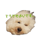 こもれびわんこ（個別スタンプ：3）