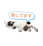 こもれびわんこ（個別スタンプ：8）