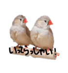 みつきなもちのいちにち（個別スタンプ：3）