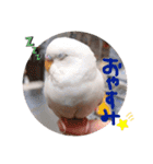 みつきなもちのいちにち（個別スタンプ：6）