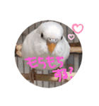みつきなもちのいちにち（個別スタンプ：7）