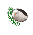 みつきなもちのいちにち（個別スタンプ：8）