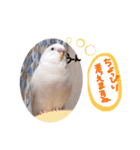 みつきなもちのいちにち（個別スタンプ：11）