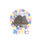 みつきなもちのいちにち（個別スタンプ：13）