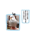 みつきなもちのいちにち（個別スタンプ：19）