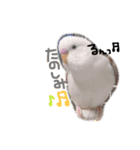 みつきなもちのいちにち（個別スタンプ：24）