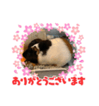 もるもっとのデール♪（個別スタンプ：11）