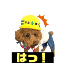 ショコロン＆フレンズ 2（個別スタンプ：1）