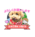 ショコロン＆フレンズ 2（個別スタンプ：13）