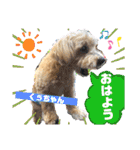 ショコロン＆フレンズ 2（個別スタンプ：21）