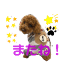 ショコロン＆フレンズ 2（個別スタンプ：26）