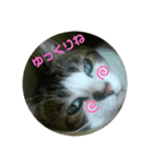 ドラエモン＆サンド②（個別スタンプ：1）