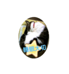 ドラエモン＆サンド②（個別スタンプ：5）