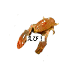 ペットおもしろスタンプ（個別スタンプ：3）