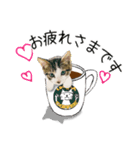 あざと可愛い子ねこのスタンプ（個別スタンプ：5）