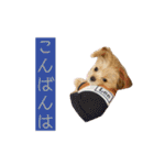 つい使いたくなるしゅうまいのスタンプ（個別スタンプ：3）