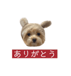 つい使いたくなるしゅうまいのスタンプ（個別スタンプ：5）