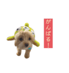 つい使いたくなるしゅうまいのスタンプ（個別スタンプ：10）