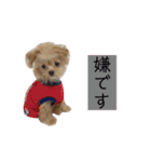 つい使いたくなるしゅうまいのスタンプ（個別スタンプ：32）