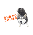 ぱぷ（個別スタンプ：8）