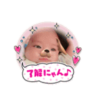 可愛い天使、（個別スタンプ：1）