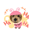 おはようだじょ（個別スタンプ：2）