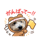 おはようだじょ（個別スタンプ：3）