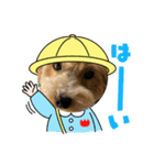 おはようだじょ（個別スタンプ：4）