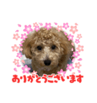 おはようだじょ（個別スタンプ：8）