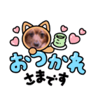ゼロ2（個別スタンプ：2）