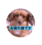 ゼロ2（個別スタンプ：6）
