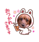 ゼロ2（個別スタンプ：8）
