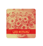 greeting！！_Sunflower version_（個別スタンプ：1）