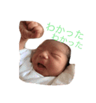 しまちよたけ2（個別スタンプ：7）