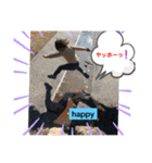 Tayga's stamp（個別スタンプ：13）