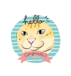 猫の動作日常（個別スタンプ：4）
