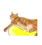 猫の動作日常（個別スタンプ：7）