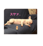 荒ぶるフレブル アナベル2（個別スタンプ：12）