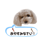 うちの可愛い姫たちの会話☆（個別スタンプ：2）